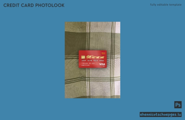 USA Wells Fargo Bank Visa Debitkarte Fotobeispiel-Vorschau